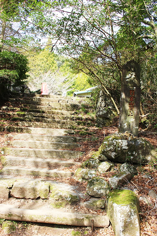 十国峠日金山ハイキングコース　日金山山頂