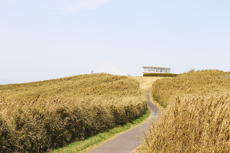 十国峠日金山ハイキングコース